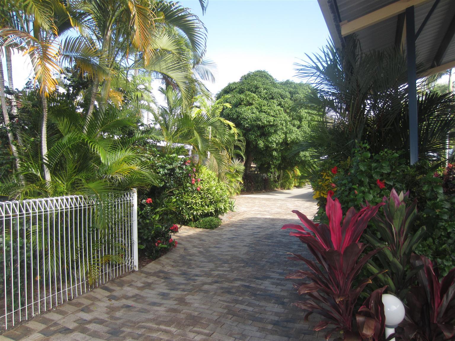 Lazy Lizard Motor Inn Port Douglas Exterior photo